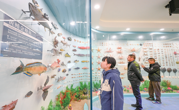 岚岛迎春人气旺　文旅市场“新”意浓