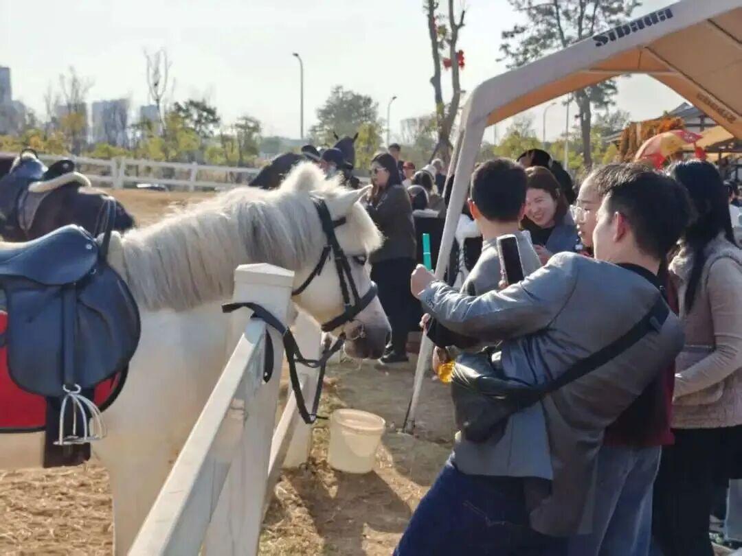 元宵节去哪儿？福州这份超强赏灯攻略收好