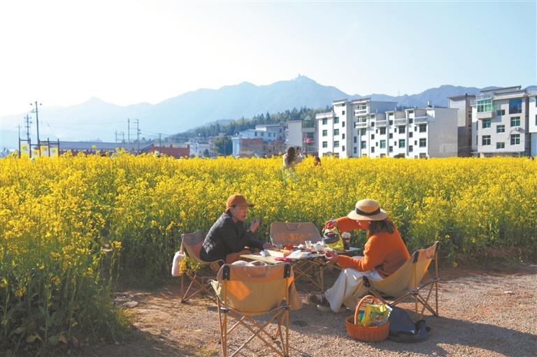 宁德周宁：繁花漫山野 春游正当时