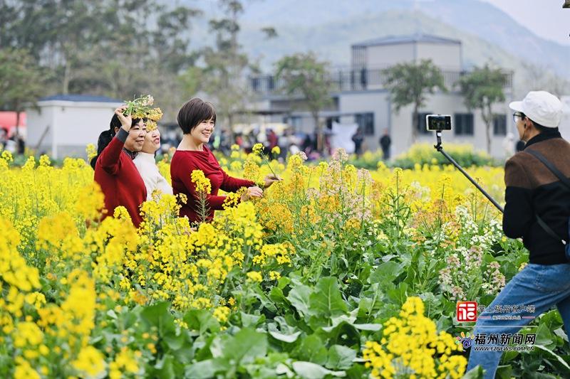 福州新区（长乐区）罗联乡油菜花文旅季活动启动