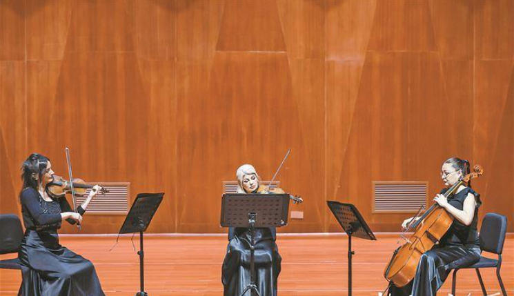 女演奏家弦舞多瑙河