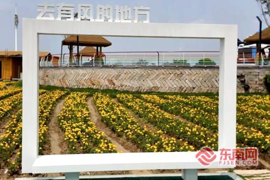 漳州台商区文旅融合让城市边角变网红打卡地