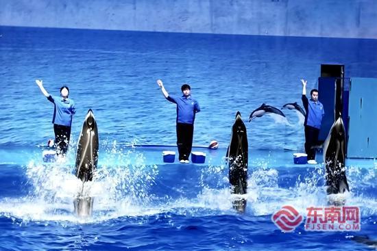 文旅采风行走进长泰 千年古城绘就文旅融合新画卷