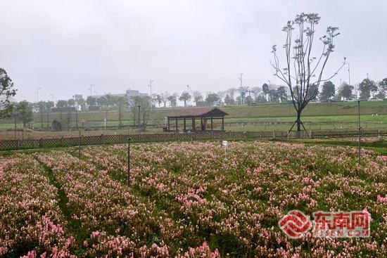 文旅采风走进漳州：龙江焕新颜 水乡藏古韵