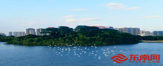 漳州龙文区打造“景城一体、昼夜皆宜”的都市文旅目的地