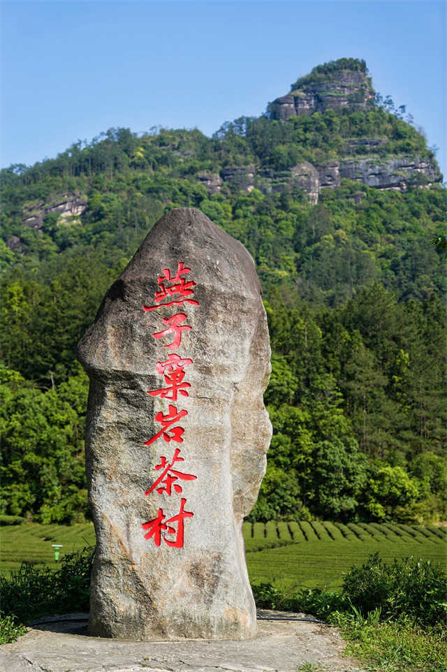 茶路连丝路 艺笔绘双遗——“艺汇丝路”阿拉伯艺术家代表团前往南平采风
