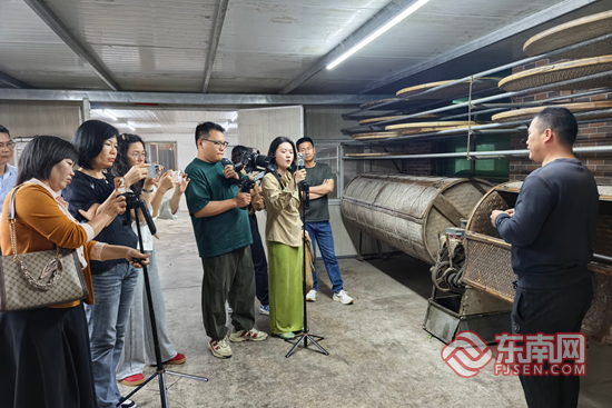 春和景明 欢迎来诏安共度明媚春光