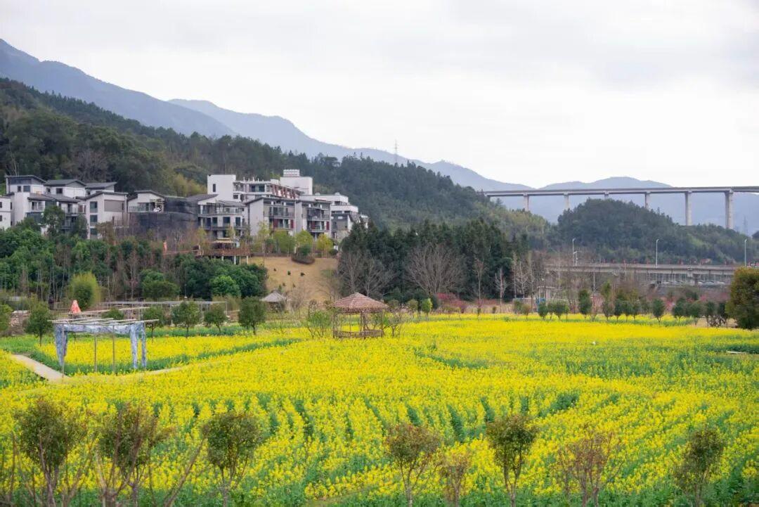 2026年福建省乡村文旅带头人研习营在闽清开营