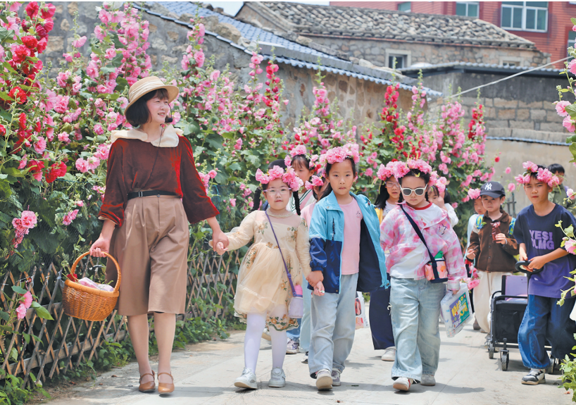 平潭深坞村蜀葵花开引客来
