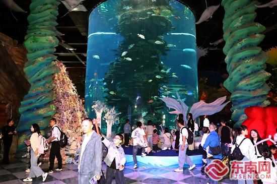 泉州台商区“五一”文旅盛宴解锁假期新玩法