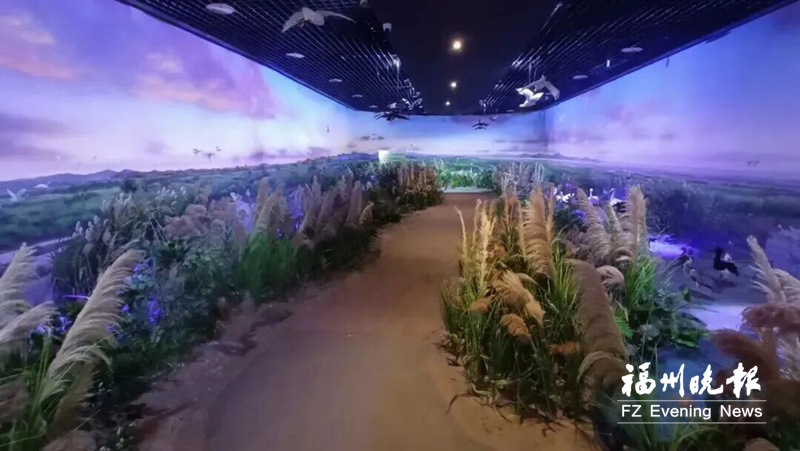 福州闽江河口湿地博物馆15日起开放