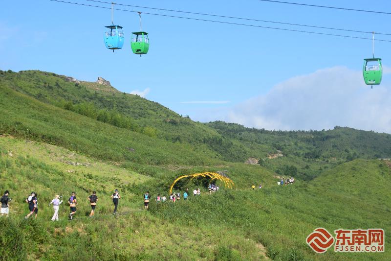 千人开跑柘荣鸳鸯草场 解锁自在夏日新玩法