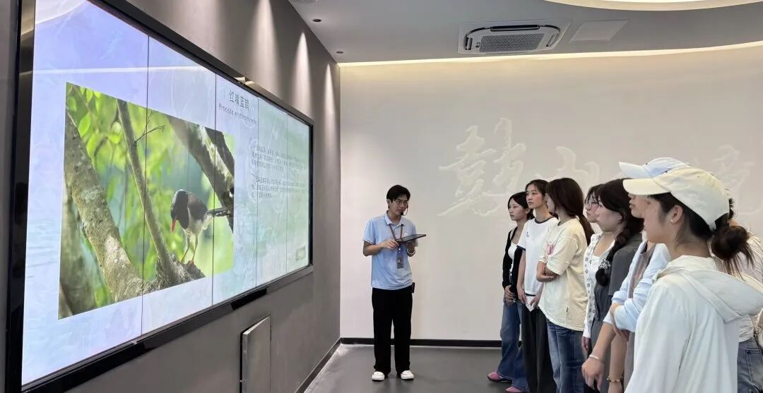 循着鼓岭故事，发出青春回响