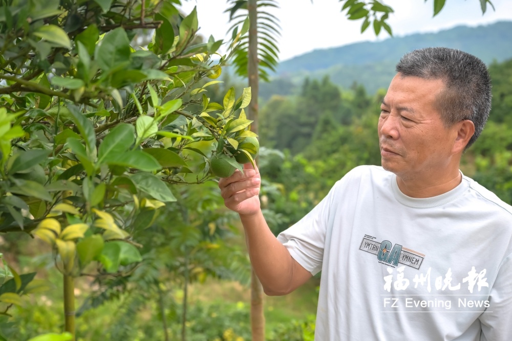 福州晋安板桥村：“孔子文化”振业兴村