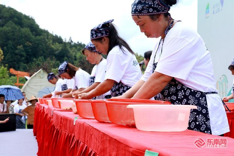 文脉润五夫 荷香引客来——五夫“荷花季”解锁古镇发展新活力