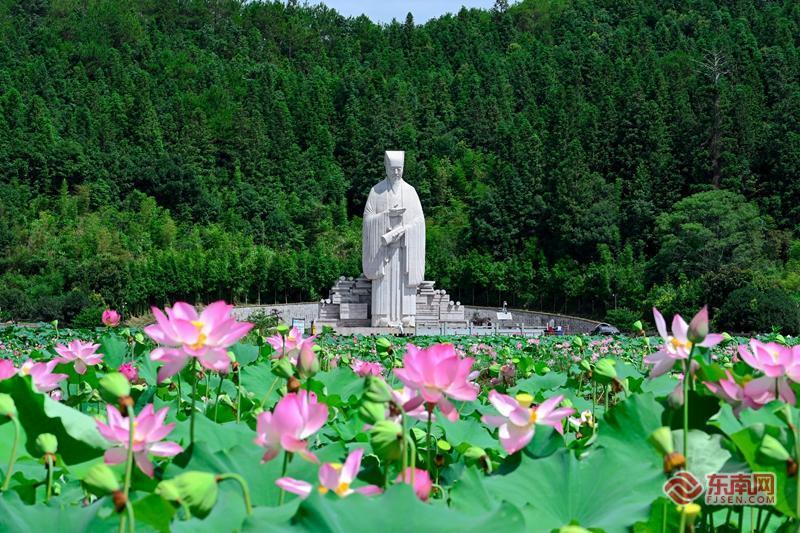 文脉润五夫 荷香引客来——五夫“荷花季”解锁古镇发展新活力