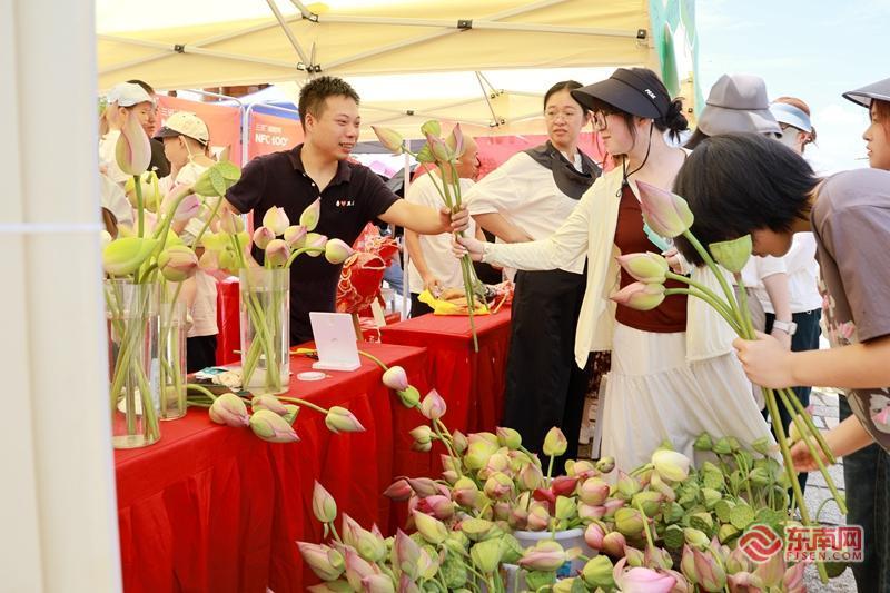 文脉润五夫 荷香引客来——五夫“荷花季”解锁古镇发展新活力
