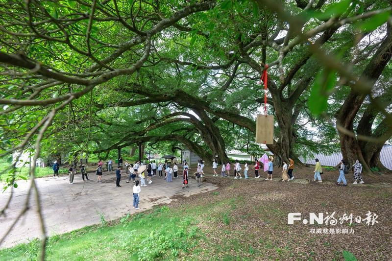 闽清官圳村：古厝欢声起 果香引客来
