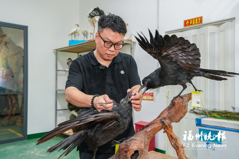 第二批省级非遗与旅游融合发展推荐目录公布 福州共有3个项目入选