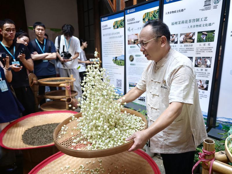 深读丨在山海间，赴一场“闽式生活”