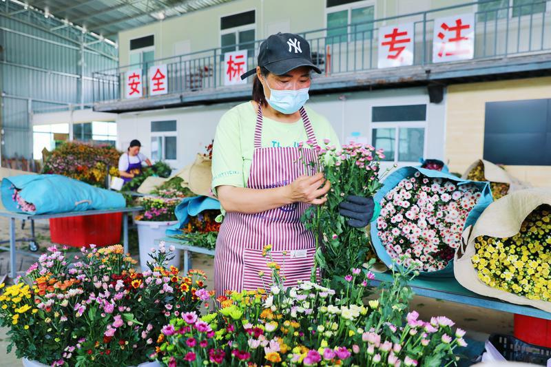 深读丨在山海间，赴一场“闽式生活”