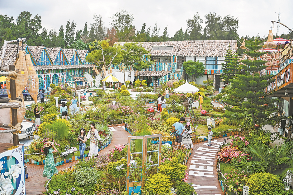 慢逛细品，解锁岚岛松弛之旅