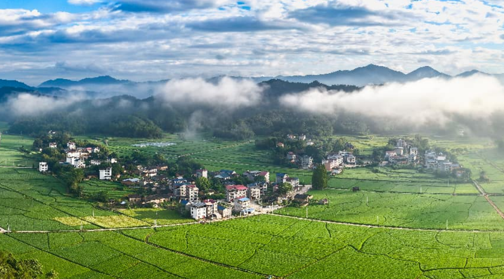 镜头定格八闽乡韵 | “观山阅海——镜头中的福建乡村振兴”文旅摄影作品征集活动成功举办