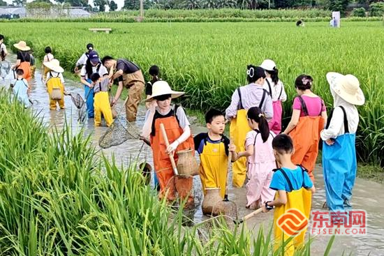 国庆好戏连台 漳州台商区邂逅人文山水好风光
