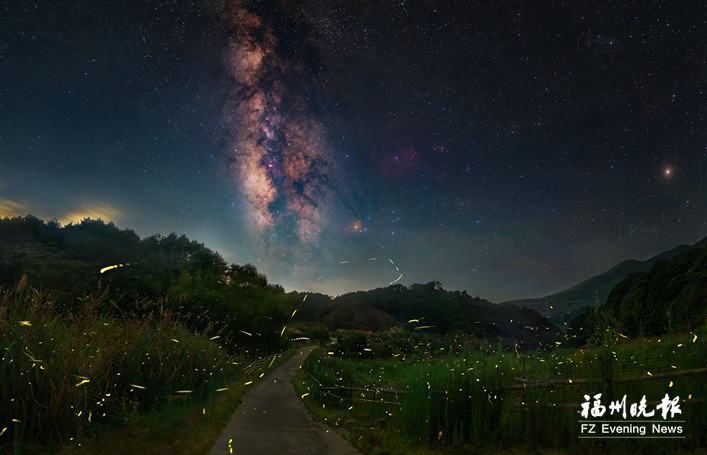 萤火虫点亮梦幻仲夏夜 福州闽侯岭头村“萤火虫海”吸引大量游客